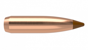 Nosler Balistic Tip 26120 Bullet